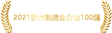 獎項(xiàng)
